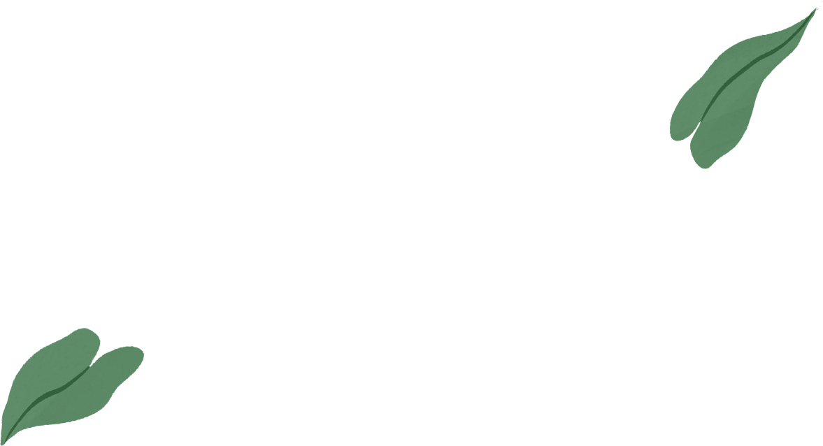 En el dibujo ahora aparece una ilustración de la carcasa de un MacBook Air de cuya pantalla salen hojas verdes.