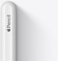 De ronde bovenkant van Apple Pencil 2e generatie met het Apple logo en het woord Pencil.