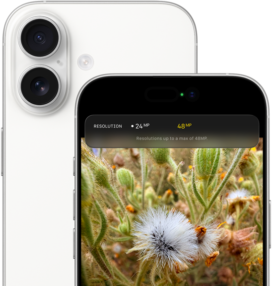 Selfie de grupo com Enquadramento central para fotografias